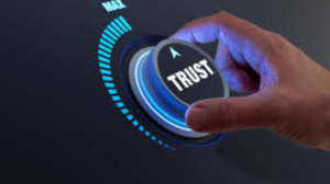 How Businesses Measure Digital Trust